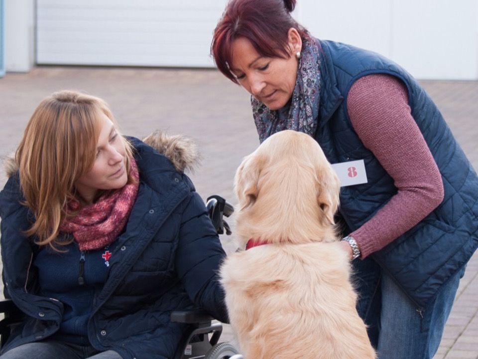 Foto: Eine Dame im Rollstuhl erhält Besuch von einem Therapiehund und beschäftigt sich mit ihm.